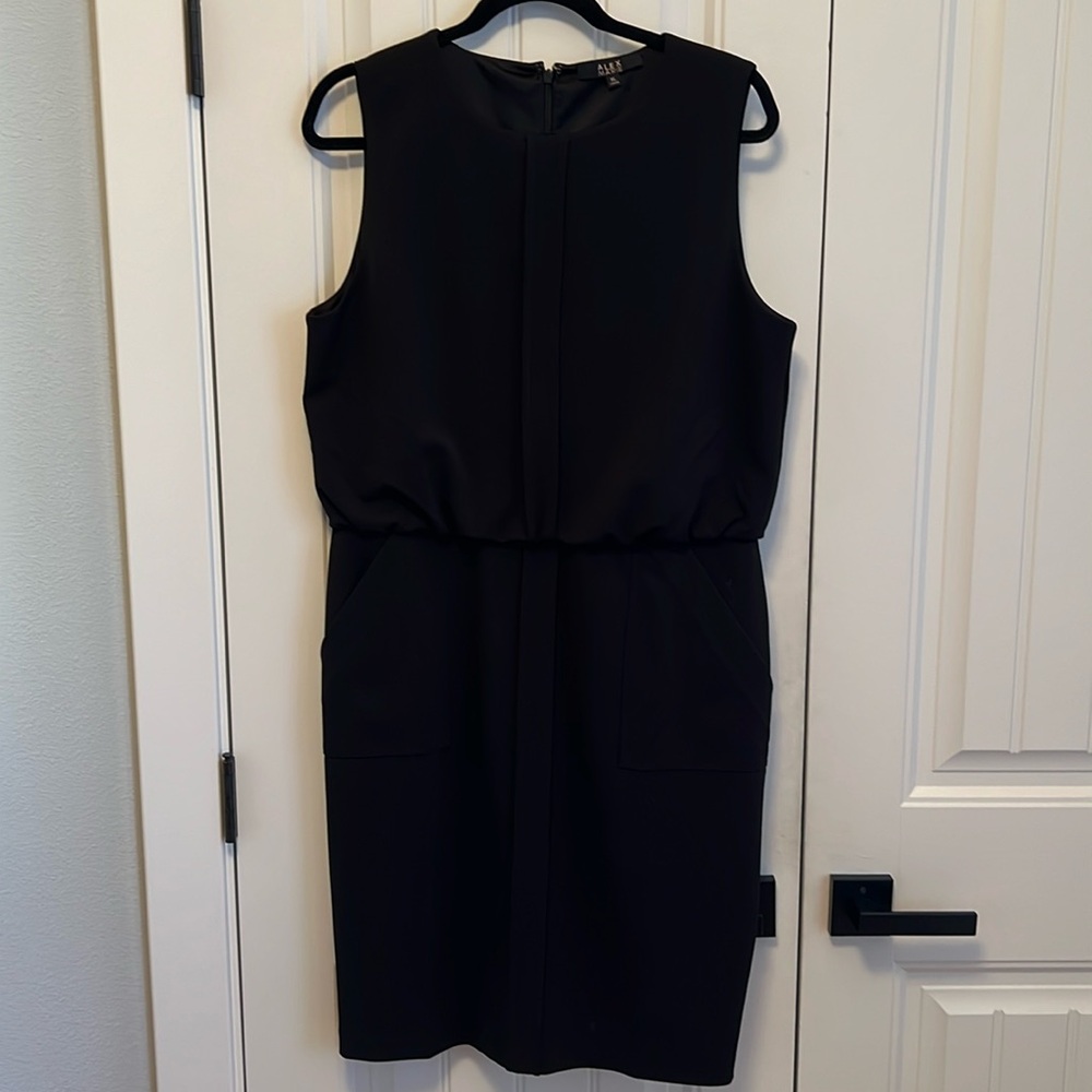 Alex Marie Black Sleeveless Sheath Dress with Pockets